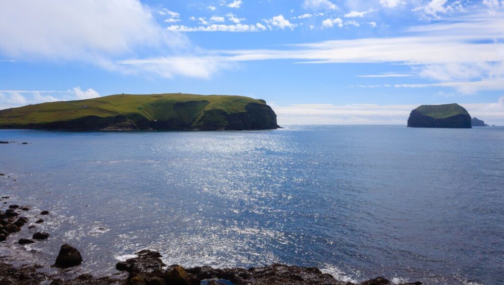 60 yil once dogan ada tabiatin kendini nasil onardiginin kaniti oldu adkFVLv1.jpg
