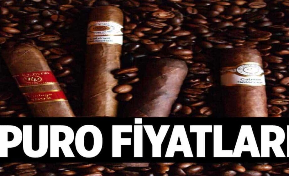 Puro Fiyatlari 1024x622Hwb.jpg