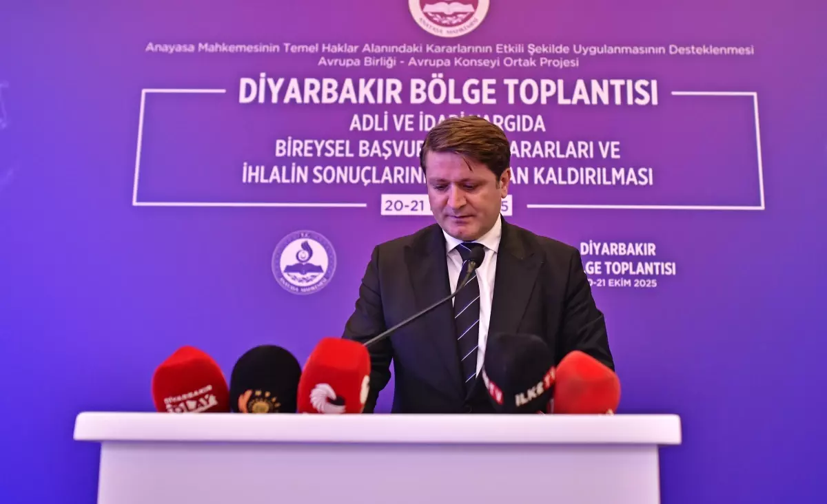 anayasa mahkemesinden bireysel basvuru verileri lqwB29K5.jpg