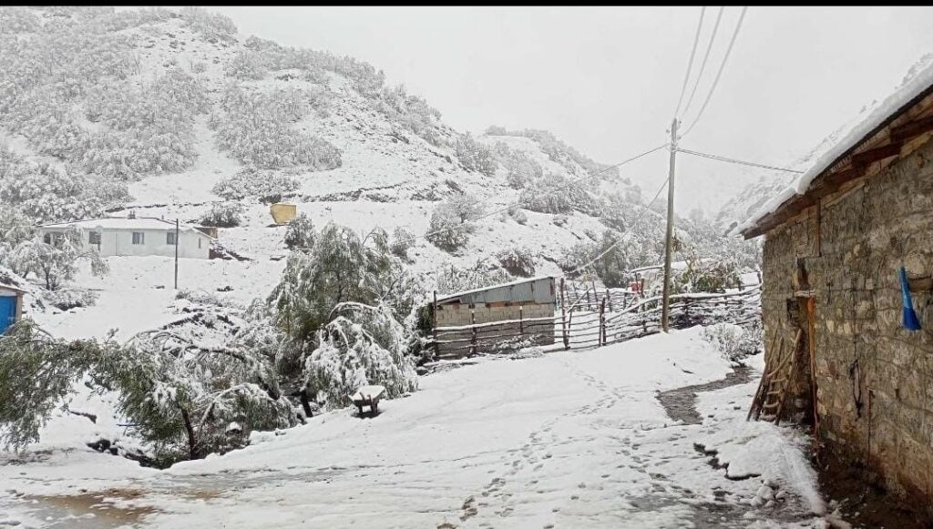 hasadi yapilmayan ceviz kar altinda kaldi Uk8FGzmh.jpg