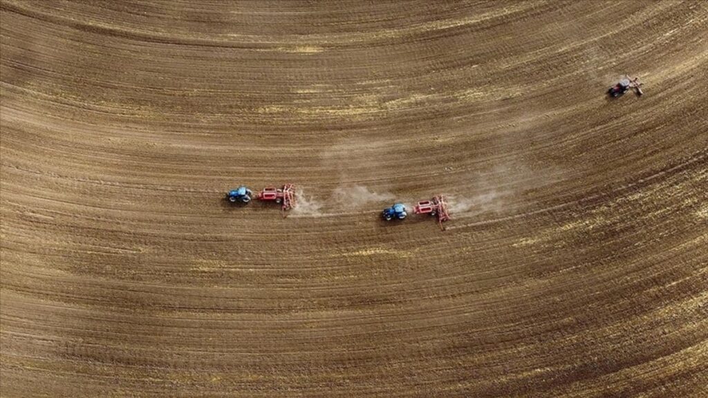 Tarım sayımı sonuçları yılın ikinci yarısında açıklanacak