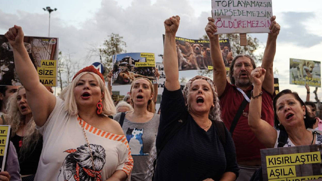 Hayvanlara Yönelik Suçlar Endişe Verici Boyutlara Ulaştı: 6 Bin 838 Vaka