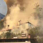 Haber gorseli